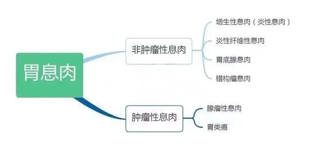 山西肛泰肛肠医院：常见的胃息肉类型有以下几种