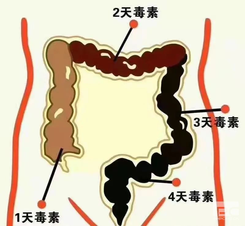 山西肛泰肛肠医院：便秘的9种原因，看看自己属于哪种