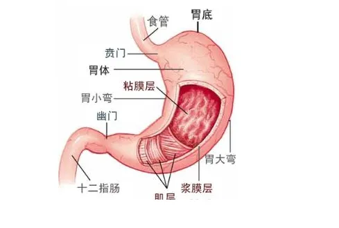 山西肛泰肛肠医院：哪些病因会导致胃窦炎？