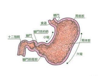 山西肛泰肛肠医院：胃里长了息肉有什么危害？