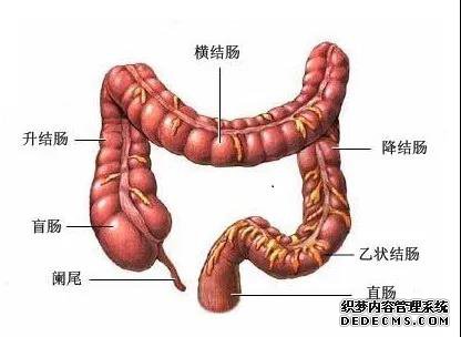 山西肛泰肛肠医院：我只是拉肚子，为啥发烧呢？