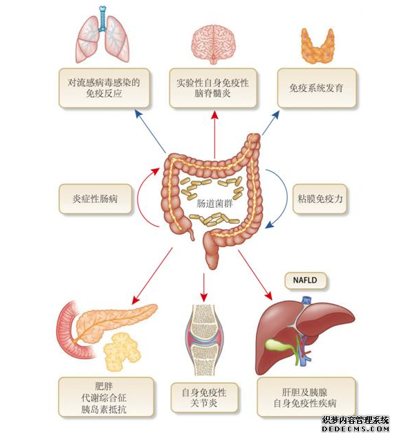 山西肛泰肛肠医院：肚子总是胀气不舒服?不妨试试这样做！