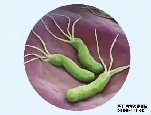山西肛泰肛肠医院：感染幽门螺杆菌要治疗吗?如何避免感染？